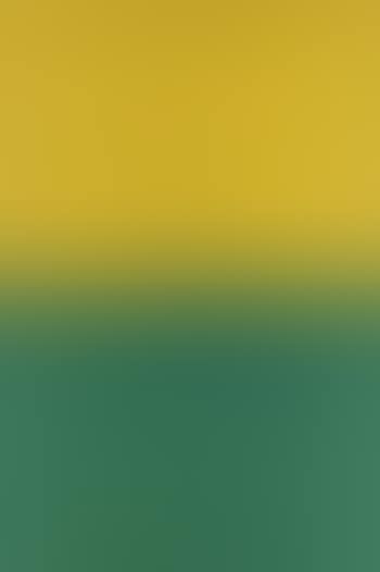 BLEIBILD 21/88 (preview)