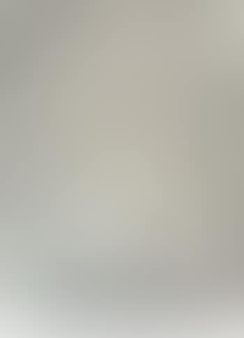 Untitled (P447) (preview)