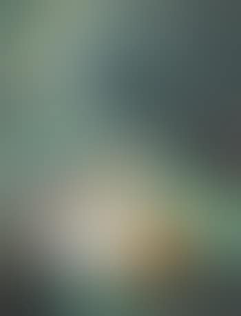 Composition (preview)