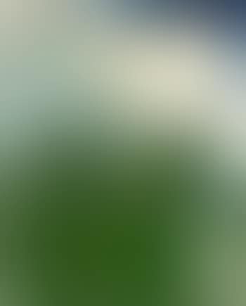 Sans titre (preview)