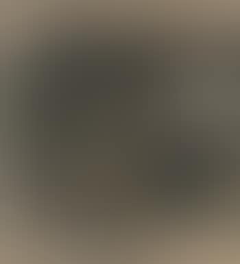Landscape I (preview)