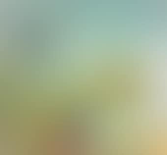 Green evening (preview)