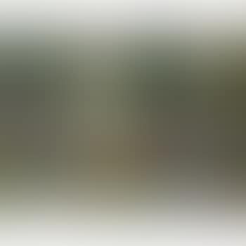 Crépuscule (preview)