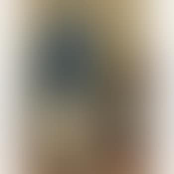 Mujer Con Rebozo (preview)