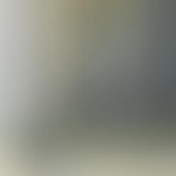 The Guqin Player (preview)