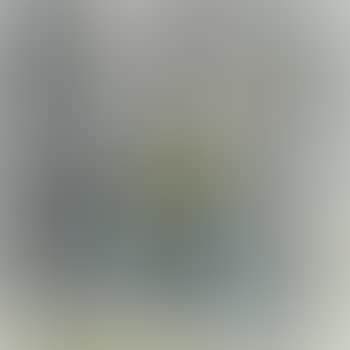 The Pipa Player (preview)