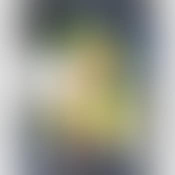 Sorpresa (preview)