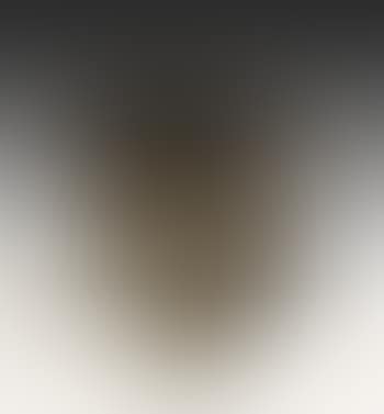 Sculpture (preview)