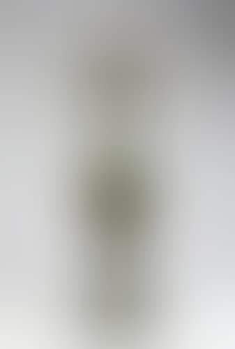 Venus (preview)