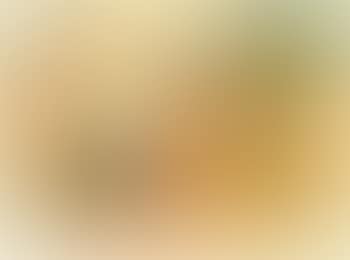 Composition jaune, orange, et verte (preview)
