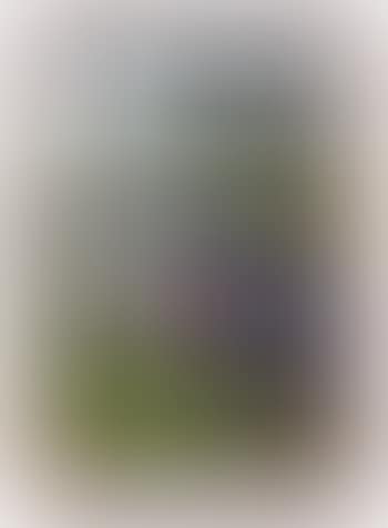 Untitled (preview)