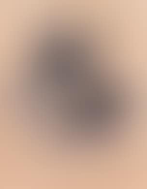 Portrait of a Sheepdog. Frey and Odin (study-sheet with dogs) (preview)