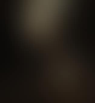 Peasants playing cards by a white horse (preview)