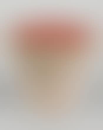 Le pot gris et rouge (preview)