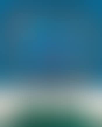 Froide (preview)