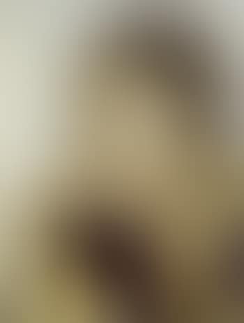 Ladies And Gentlemen (Wilhelmina Ross) (preview)