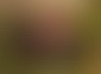 Study for 'La Belle Dame sans Merci' (preview)