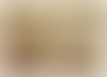 Pilze (preview)