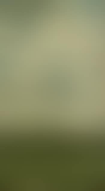 Dicht bewolkte Landschaft (preview)