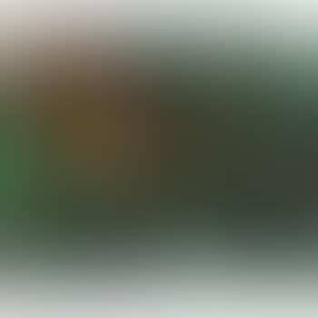 Sans Titre (preview)