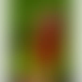 Autoportrait Et Chat (preview)