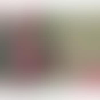 Sans Titre (preview)