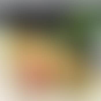 Conchiglia africana (preview)