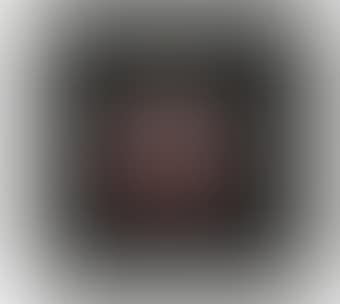 Rotoreliefs (Optical Discs) (S 441d) (preview)