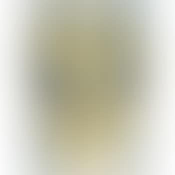 Yellow Robe (Doench And Feinberg 64) (preview)