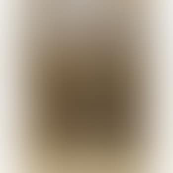 Portrait Of A Man Sitting On A Park Bench (preview)