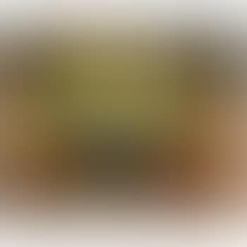 Still Life Of Herring And Green Glass (preview)