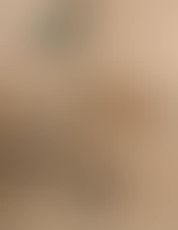 Mrs Hedgehog and Mrs Rabbit at the dressing table (preview)
