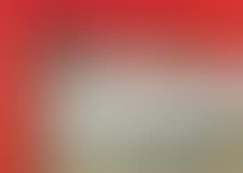 Nature morte fond rouge (preview)