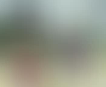 Barque et tente (preview)