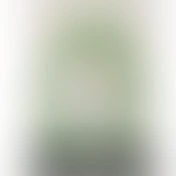 L'exile vert (D. 498) (preview)