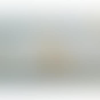 White Wings (preview)