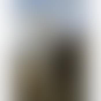 The Cathedral Of Our Lady, Antwerp (preview)
