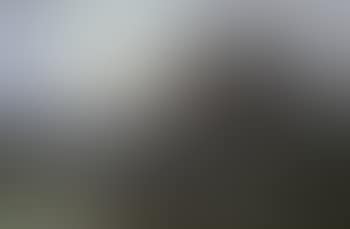 Evening near Dorchester, Dorset (preview)
