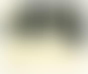 Ohne titel (preview)
