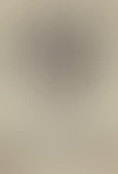 Untitled (Vase with Flowers) (preview)
