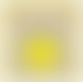 Study for Homage to the Square: "2 Grays between 2 Yellows" (preview)