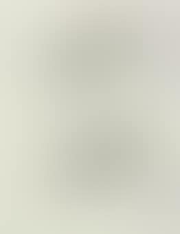 Study #223 (preview)