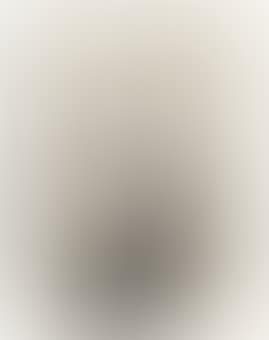 Untitled (Adler) (preview)