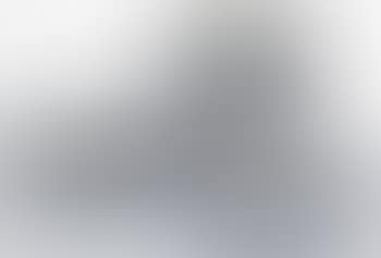 Eight service plates (abstract) (preview)