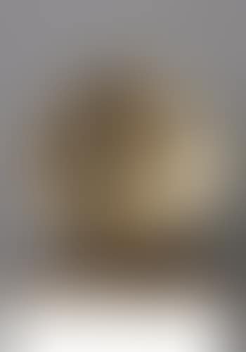 Sfera con sfera (Sphere within sphere) (preview)