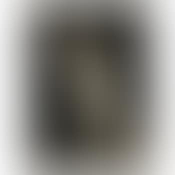 Head Of E.O.W. (preview)