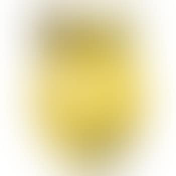 Bear (Gold) (preview)