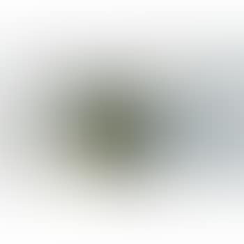 Bildzwei (preview)