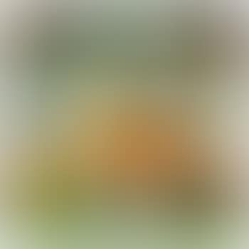 Visier (preview)