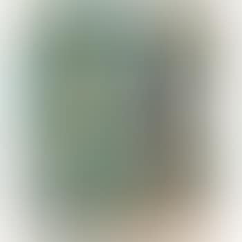Vision Of Dying Bird Species (preview)